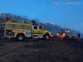 Photo Credit: FF/P C. Ruch